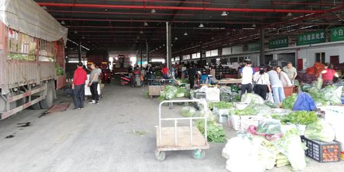 當好廣元人民的菜籃子，川陜甘農(nóng)產(chǎn)品交易中心 從集散樞紐到研發(fā)引擎的蝶變